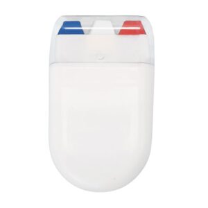 comprar Pintabanderas francia "plem" | Eventos